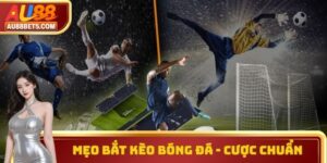 Mẹo Bắt Kèo Thể Thao - Cược Chuẩn, Săn Thưởng Lớn Tại AU88